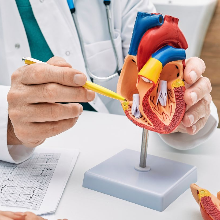 A szívbetegségek kialakulásában az életmód és a pszichés tényezők is számítanak